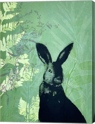 Framed Cheeky Rabbit Print