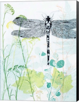 Framed Dragonfly And The Healing Plant Print