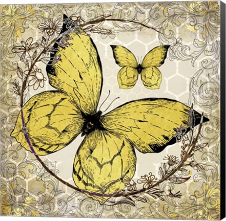 Framed Honey Bee Butterfly 3 Print