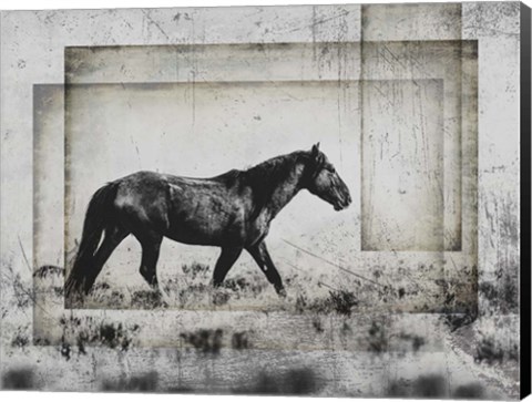 Framed Wild Horses of the Great Basin 5 Print