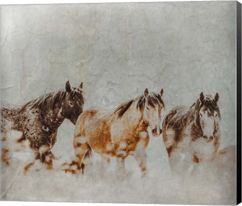 Framed Wild Horses of the Great Basin Lomography 4 Print