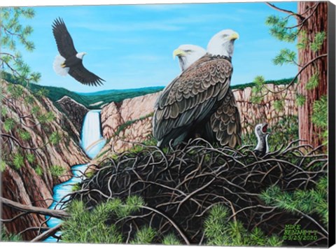 Framed Gathering of Eagles at Yellowstone Falls Print