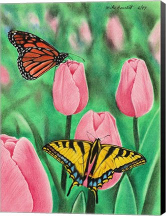 Framed Butterflies and Tulips Print