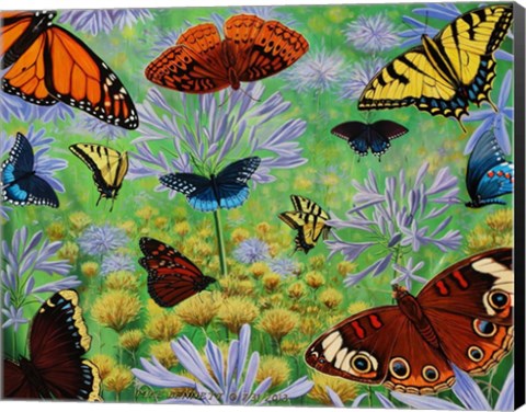 Framed Butterfly Bonanza Print