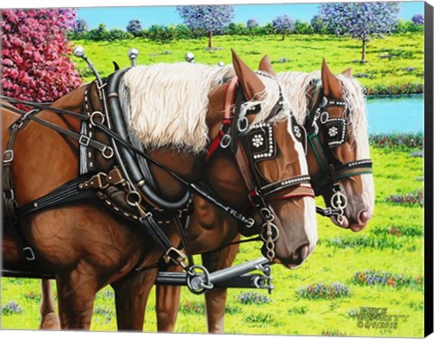 Framed Clydesdales in the Meadow Print