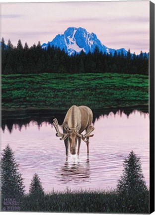 Framed Moose near Mt. Moran Print