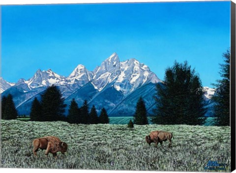 Framed Teton Splendor #1 Print