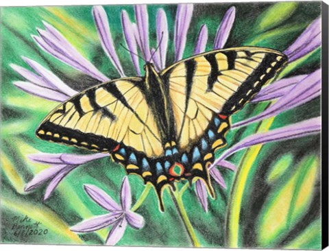 Framed Tiger Swallowtail &amp; African Lily Print