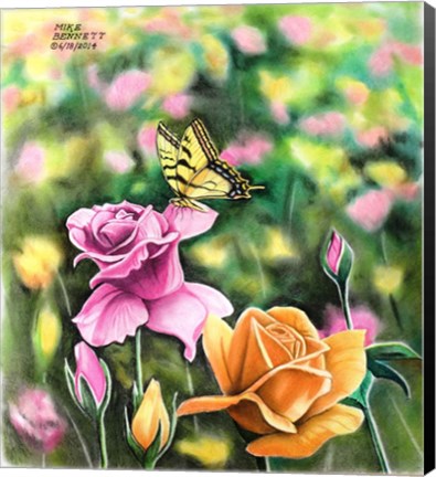 Framed Tiger Swallowtail in Rose Garden Print