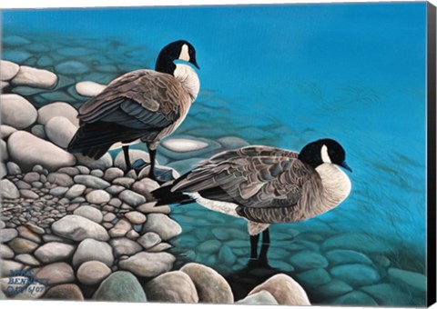 Framed Two Canadian Geese Print