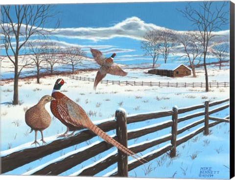 Framed Wintering Pheasants Print