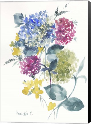 Framed Flower Series 6 Print