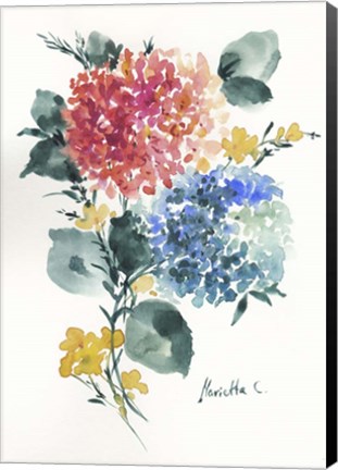 Framed Flower Series 7 Print