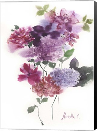 Framed Flower Series 10 Print