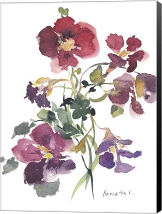 Framed Flower Series 12 Print