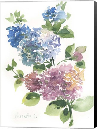 Framed Flower Series 14 Print