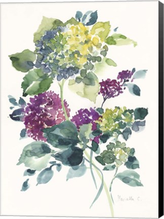 Framed Flower Series 23 Print