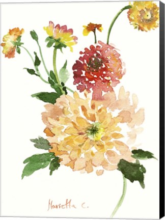 Framed Flower Series 33 Print