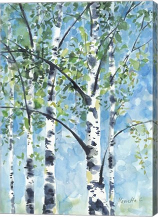Framed Aspen Tree 2 Print