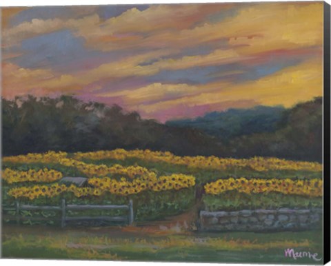 Framed Buttonwoods Sunset Print