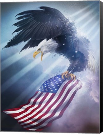 Framed Eagle 1 Print