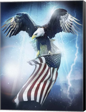 Framed Eagle 3 Print