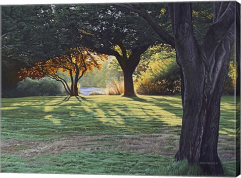 Framed Beacon Hill Morning Print