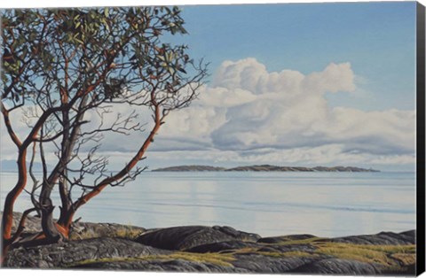 Framed Early Spring Arbutus Print
