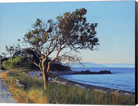 Framed Evening Arbutus Print