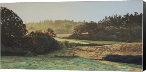 Framed Morning Light 2 Print