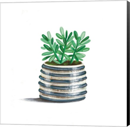 Framed Striped Succulent Print