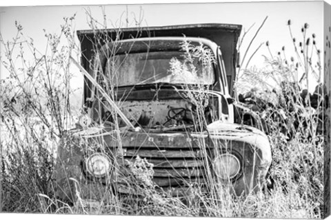 Framed Truck in Wildflower Field Print