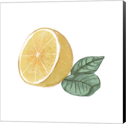 Framed Citrus Limon IV Print