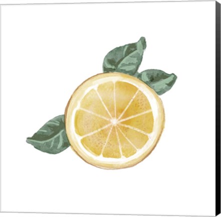 Framed Citrus Limon V Print