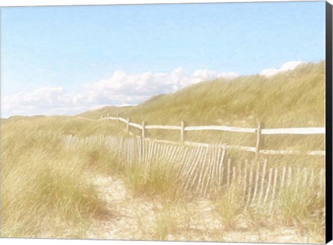 Framed Seagrass Dunes Print