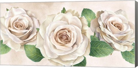 Framed Ivory Roses Landscape I Print