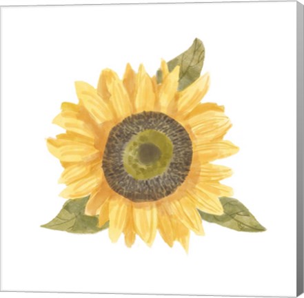 Framed Single Sunflower I Print