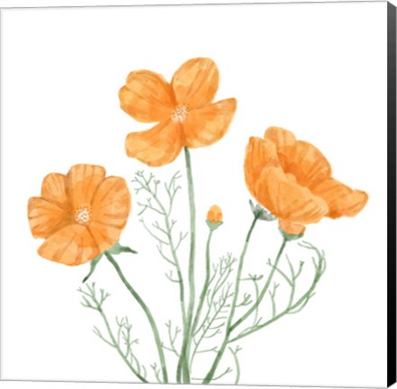 Framed Wildflower Group III Print