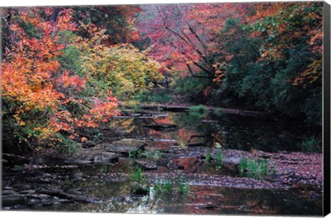 Framed Fall Creek Print