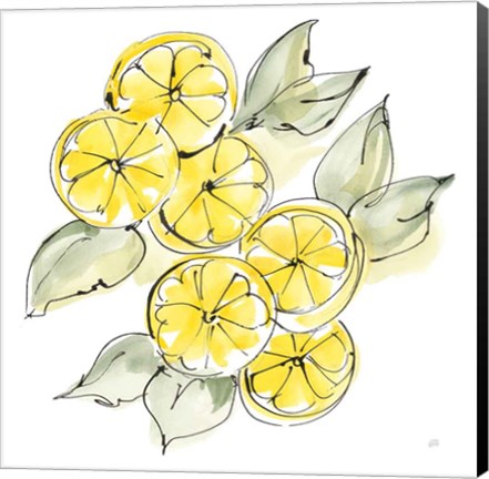 Framed Cut Lemons II Print