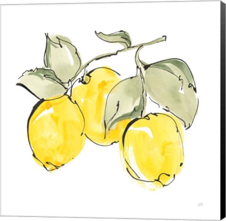 Framed Lemons IV Print