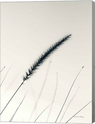 Framed Field Grasses V Print