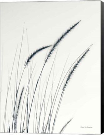 Framed Field Grasses III Print