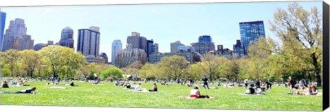 Framed Central Park Picnic Print