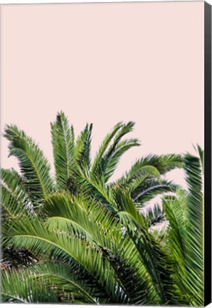 Framed Tropical Leaves on Blush II Print