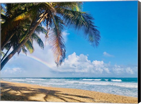 Framed Under the Palms Print