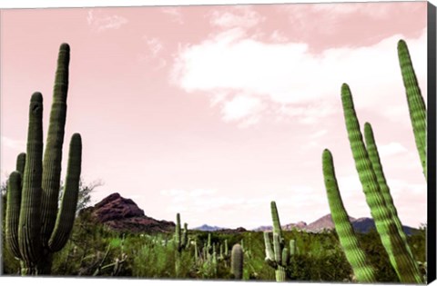 Framed Cactus Landscape Under Pink Sky Print