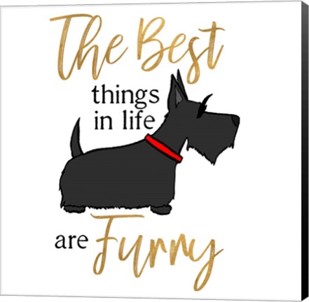 Framed Puppy Positive IV Print