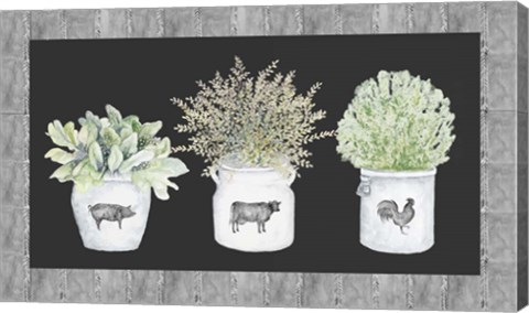 Framed Potted Farm Arrangement Trio on Chalkboard Print