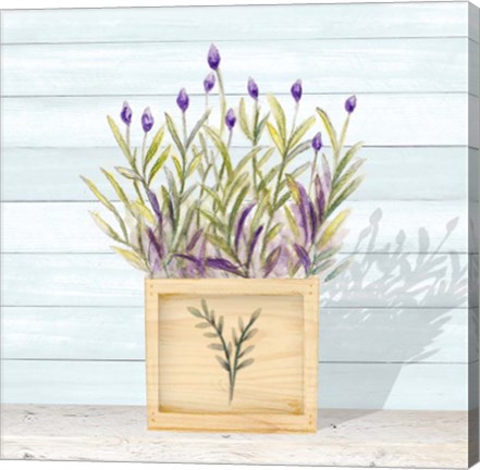 Framed Lavender and Wood Square II Print